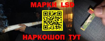 шишки Будённовск