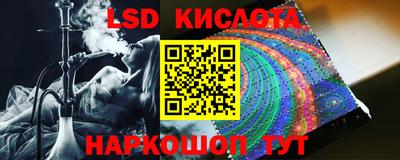 шишки Будённовск