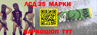шишки Будённовск