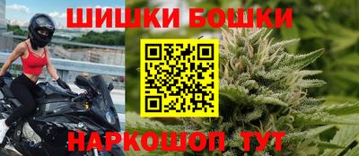 шишки Будённовск