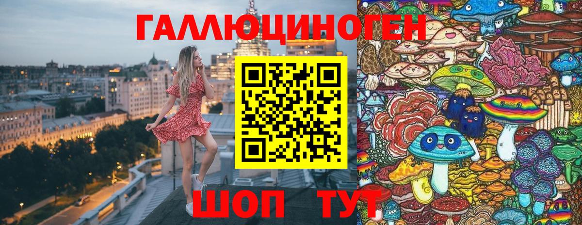 Галлюциногенные грибы Psilocybe Новоалександровск