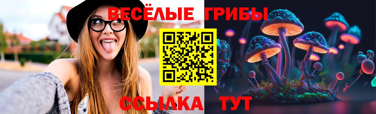 Псилоцибиновые грибы MAGIC MUSHROOMS  Вход с VPN  Новоалександровск  Псилоцибиновые грибы MAGIC MUSHROOMS 